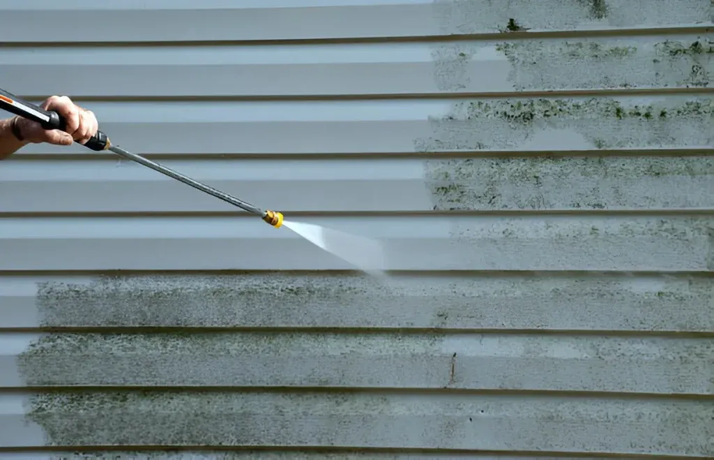 Professional house washing